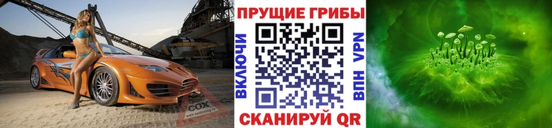 наркотики  Ясногорск  Галлюциногенные грибы ЛСД 